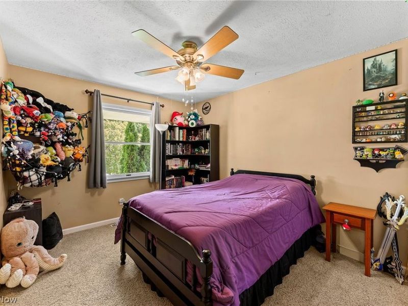 3755 Lyntz Townline Road SW, Lordstown, OH 44481 Photo 22