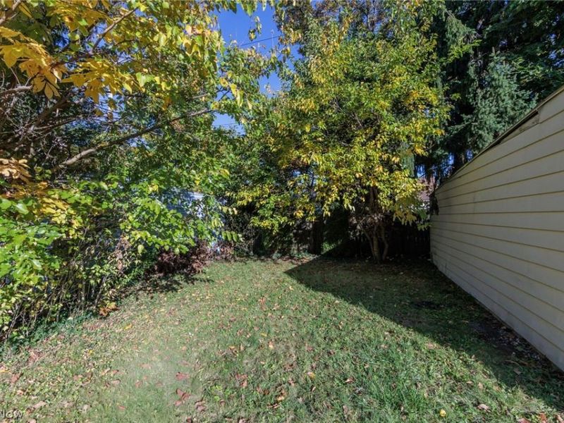4169 Harwood Road, South Euclid, OH 44121 Photo 32