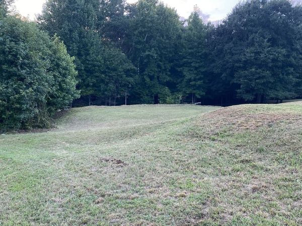 944 Muscovy Lane, Winder, GA 30680