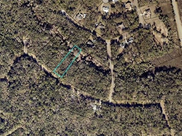 Lot 68 Tar Flower Trail , Waverly, GA 31565