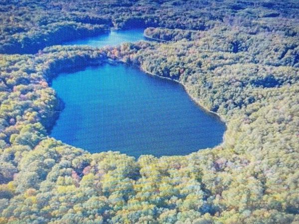 Alpine Dr. Drive, Reed City, MI 49677