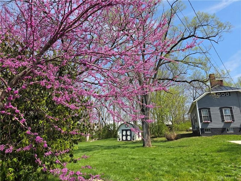 2282 Whitey Marshall Dr 895 Alpha Rd, Beavercreek, OH 45434 Photo 14