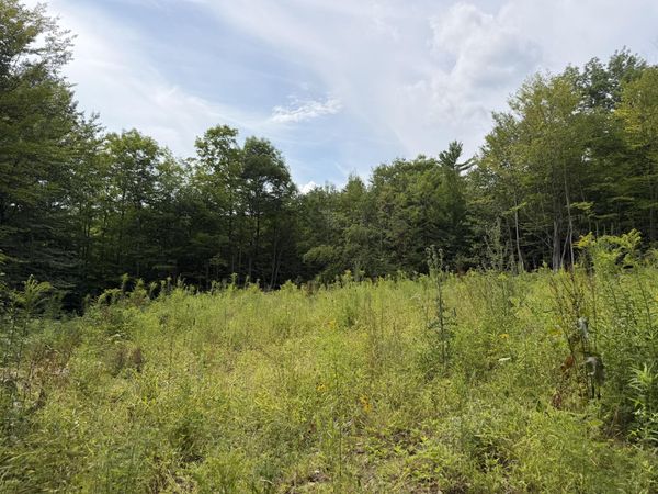Lot 60&116 Plaisted Road , Jay, ME 04239