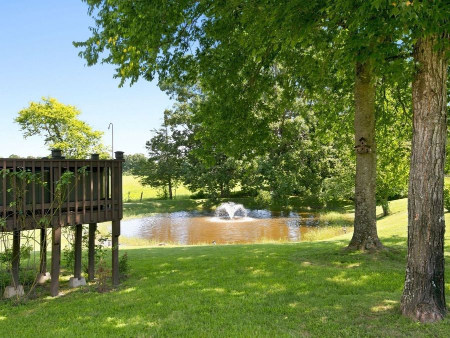Property Image 46