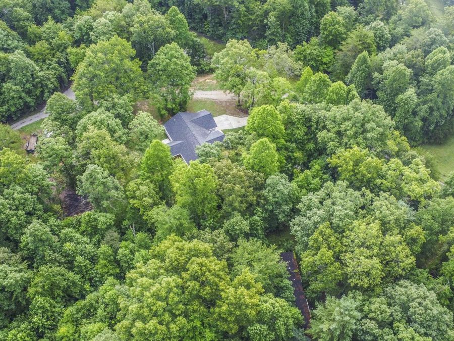 Property Image 48
