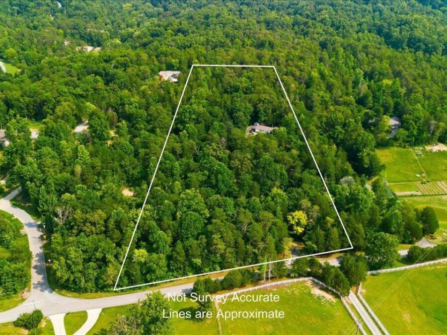 Property Image 42