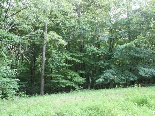 100 Cherokee Drive, Lucas, KY 42156