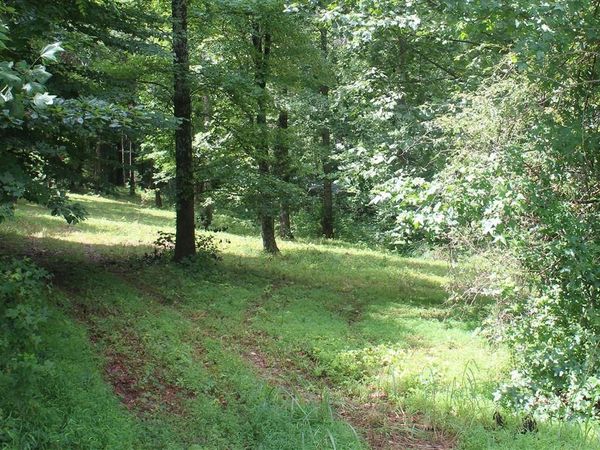 100 Cherokee Drive , Lucas, KY 42156