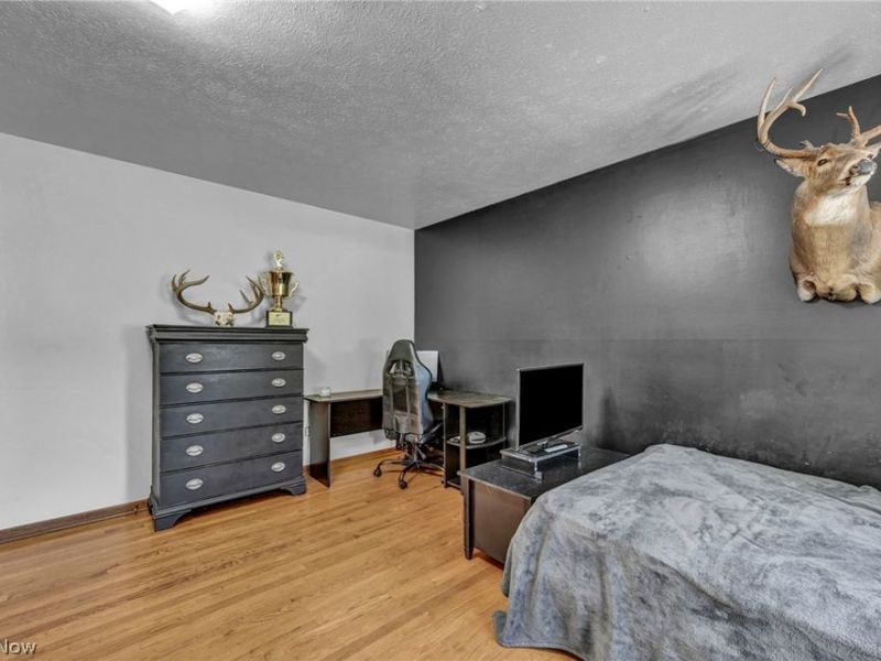 3665 Russett Drive, Broadview Heights, OH 44147 Photo 18