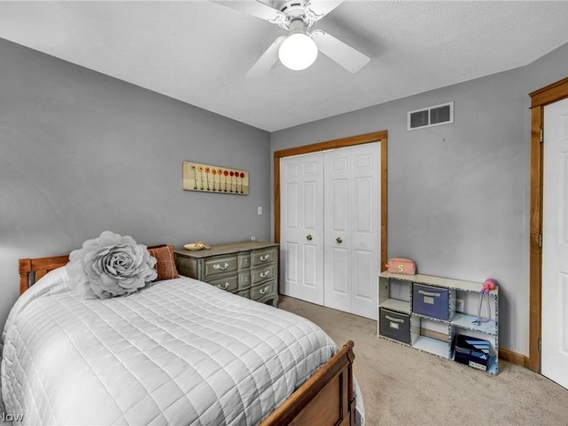 8775 Friendsville Road, Lodi, OH 44251 Photo 23
