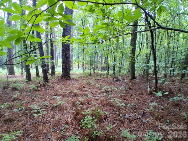 0 NC 109 Highway S, Mount Gilead, NC 27306