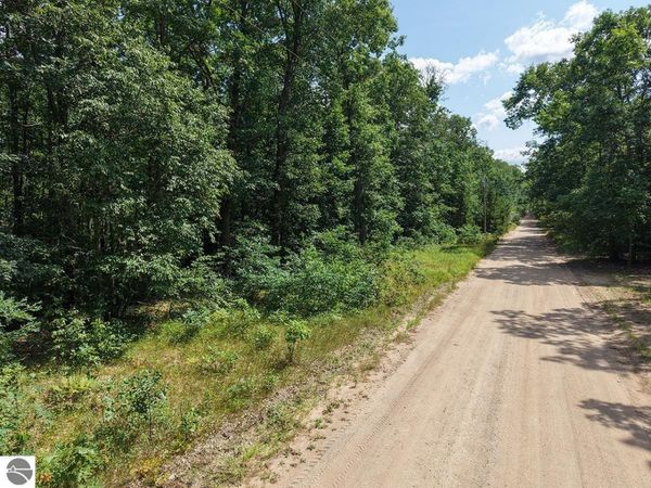 167 James Street, Wellston, MI 49689