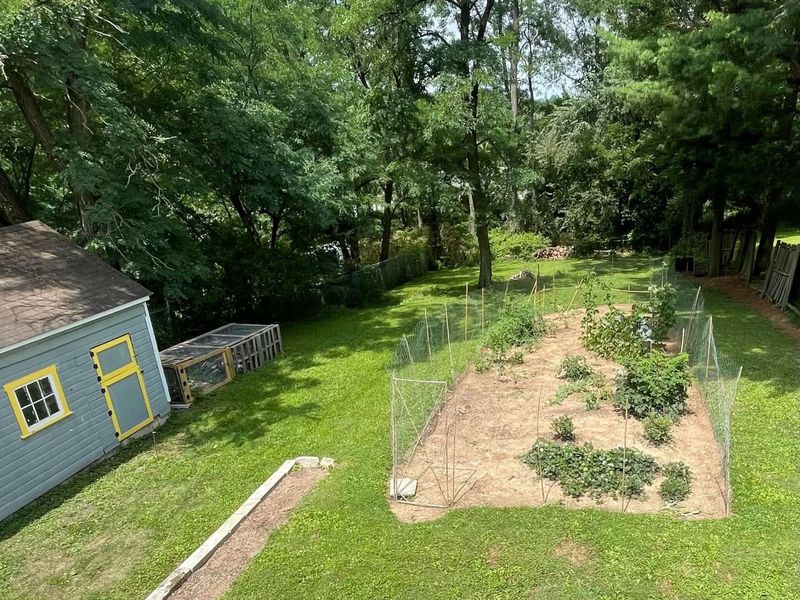 1454 Marion Avenue , Mansfield, OH 44906 Photo 6