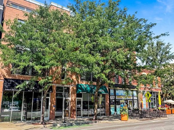 1872 N Damen Avenue, Unit 3S, Chicago, IL 60647