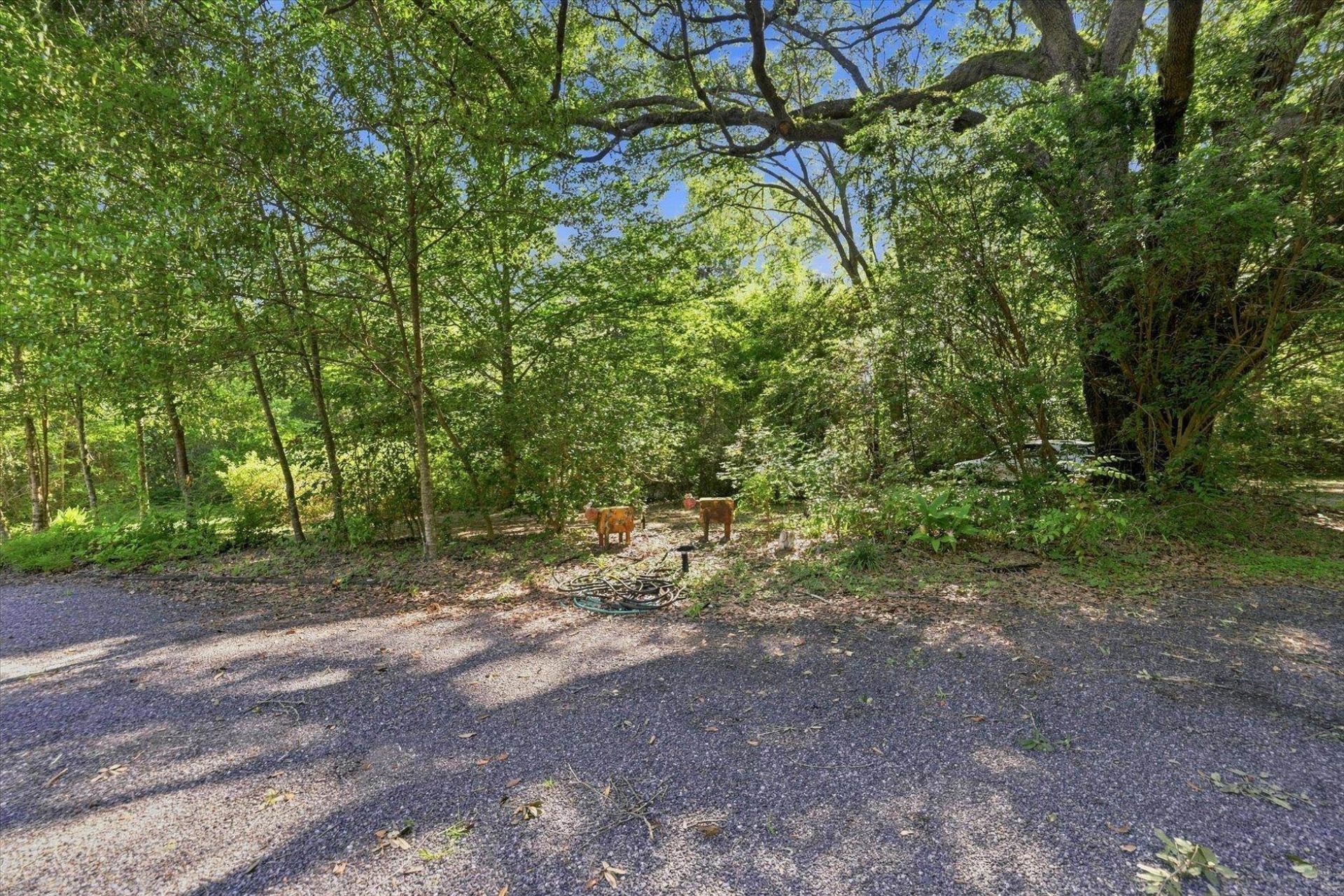 715 Tyre Road, Havana, FL 32333 Photo