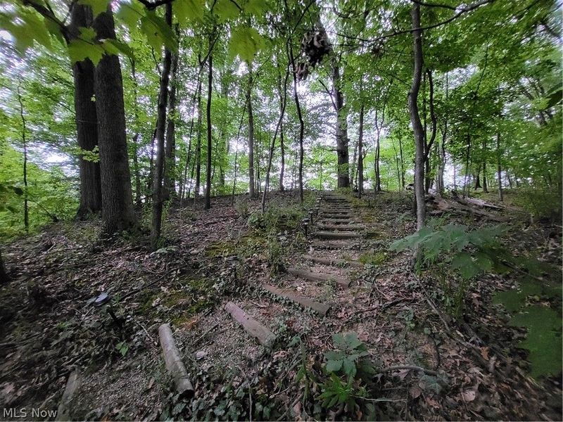 14474 Mill Hollow Lane, Strongsville, OH 44136 Photo 43