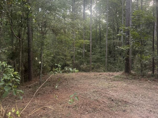 20 MOL AC HWY 42, Petal, MS 39465
