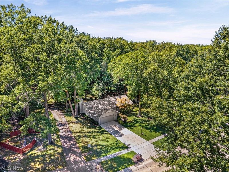 5184 N Barton Road, North Ridgeville, OH 44039 Photo 34