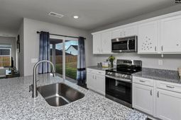 736 Common Widgeon Way photo 4