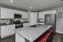 736 Common Widgeon Way photo 4