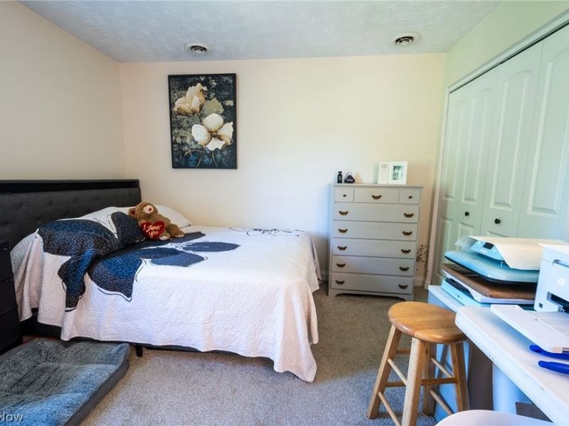 6175 Thompson Clark Road, Bristolville, OH 44402 Photo 20