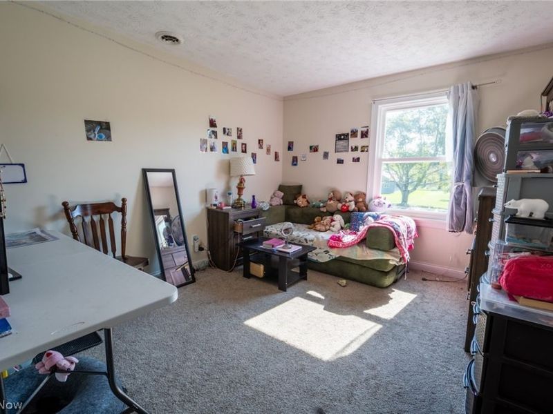 6175 Thompson Clark Road, Bristolville, OH 44402 Photo 24