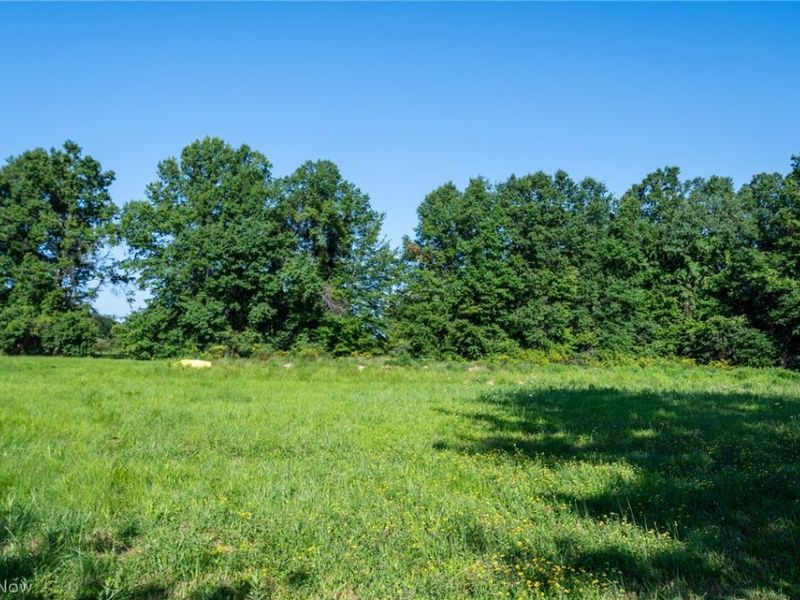 6175 Thompson Clark Road, Bristolville, OH 44402 Photo 7