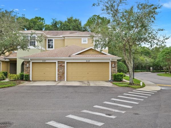 8169 STONE LEAF LANE , TAMPA, FL 33647