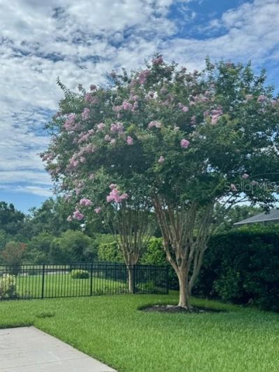15409 29th Lane E, Parrish, FL 34219 Photo