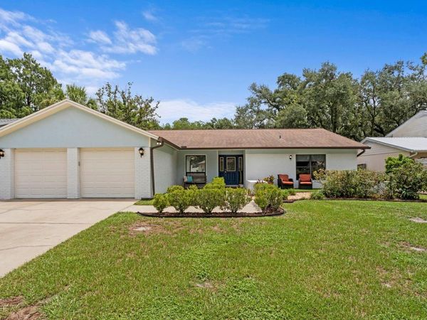 12803 RAIN FOREST STREET , TEMPLE TERRACE, FL 33617