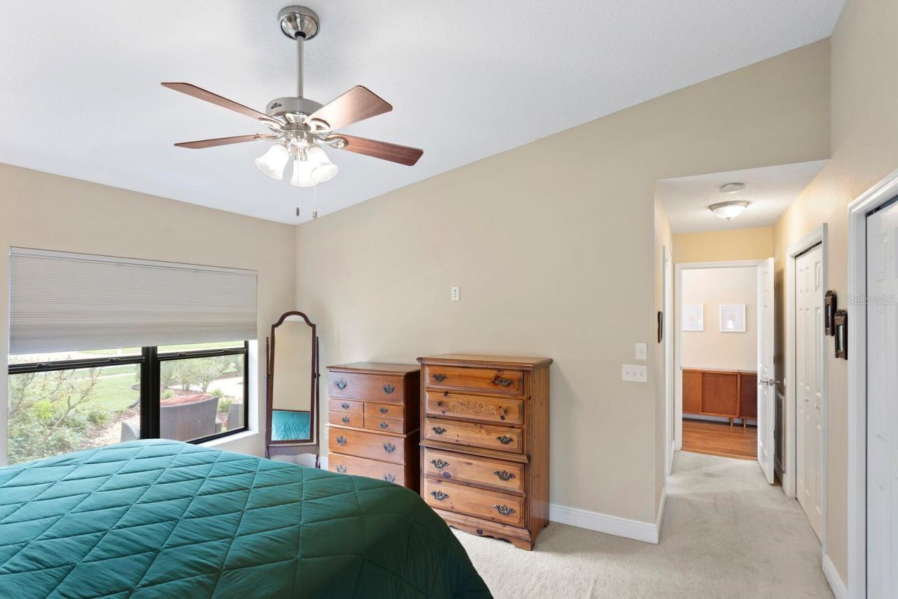 12803 Rain Forest Street, Temple Terrace, FL 33617 Photo