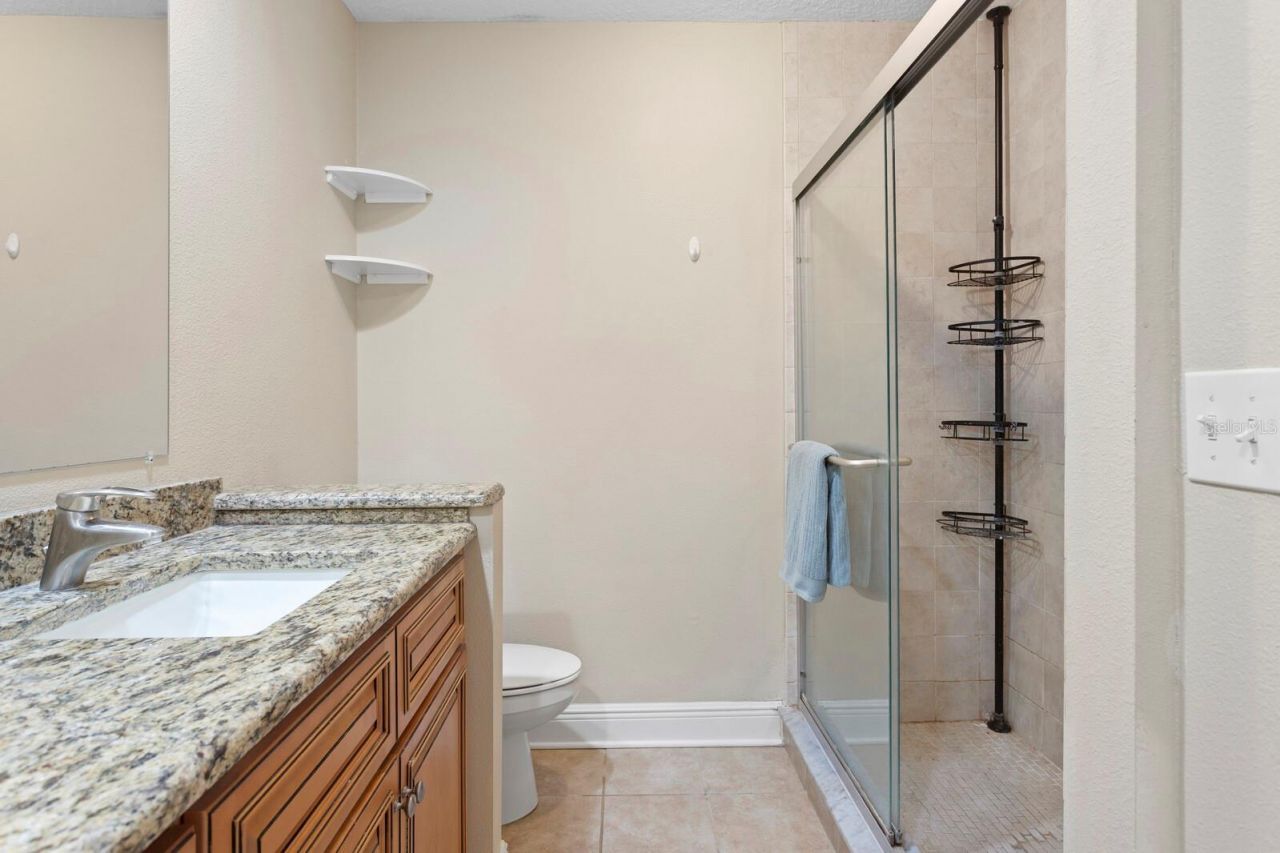 12803 Rain Forest Street, Temple Terrace, FL 33617 Photo