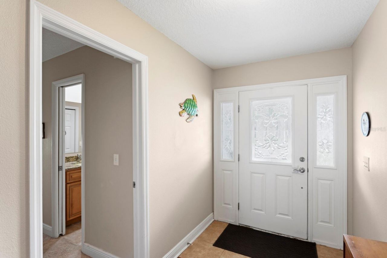 12803 Rain Forest Street, Temple Terrace, FL 33617 Photo