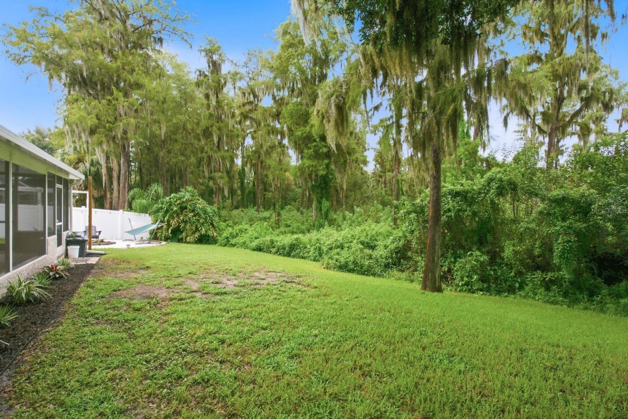 4730 Wolfram Lane, New Port Richey, FL 34653 Photo