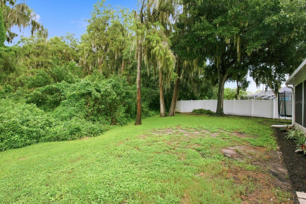 4730 Wolfram Lane, New Port Richey, FL 34653 Photo