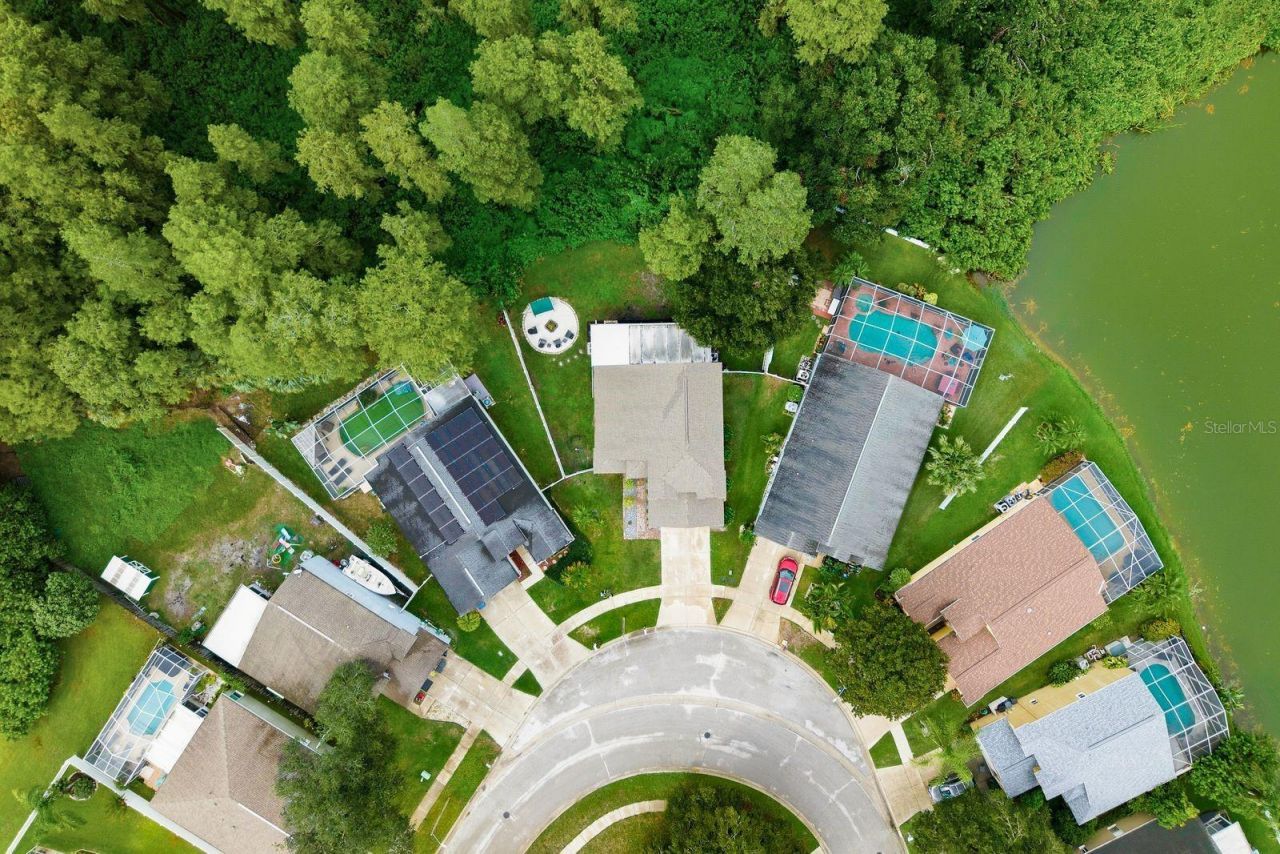 4730 Wolfram Lane, New Port Richey, FL 34653 Photo