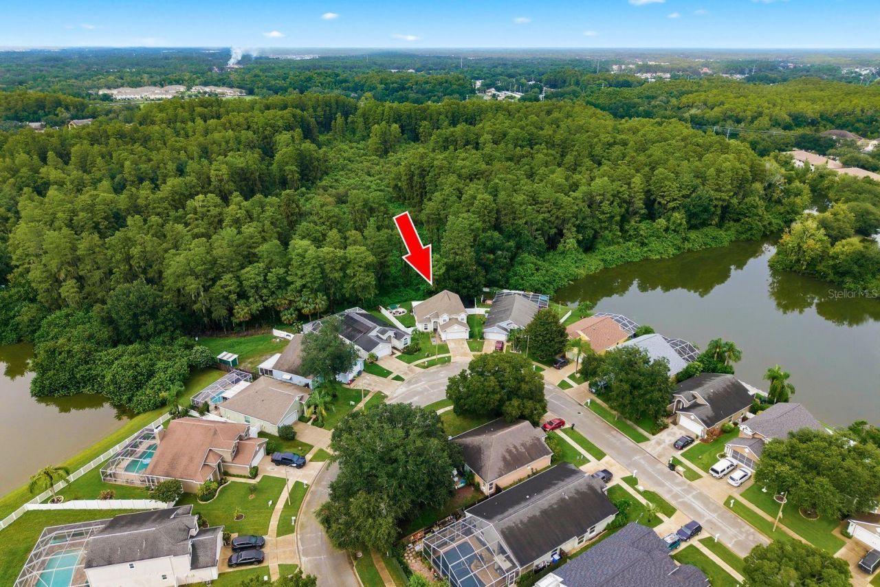4730 Wolfram Lane, New Port Richey, FL 34653 Photo