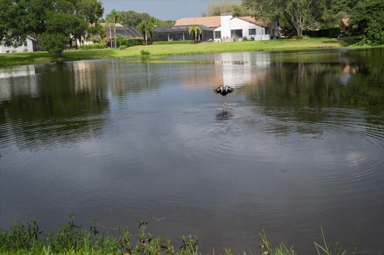 4451 Caicos Court, Sarasota, FL 34233 Photo