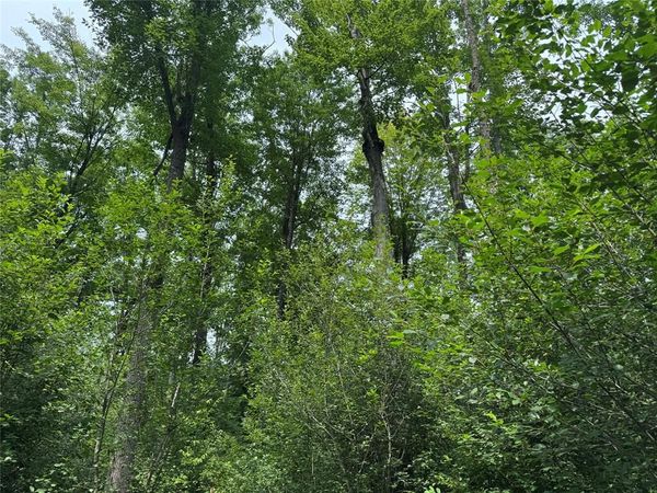 OOO Patton Drive, Marshfield, WI 54449