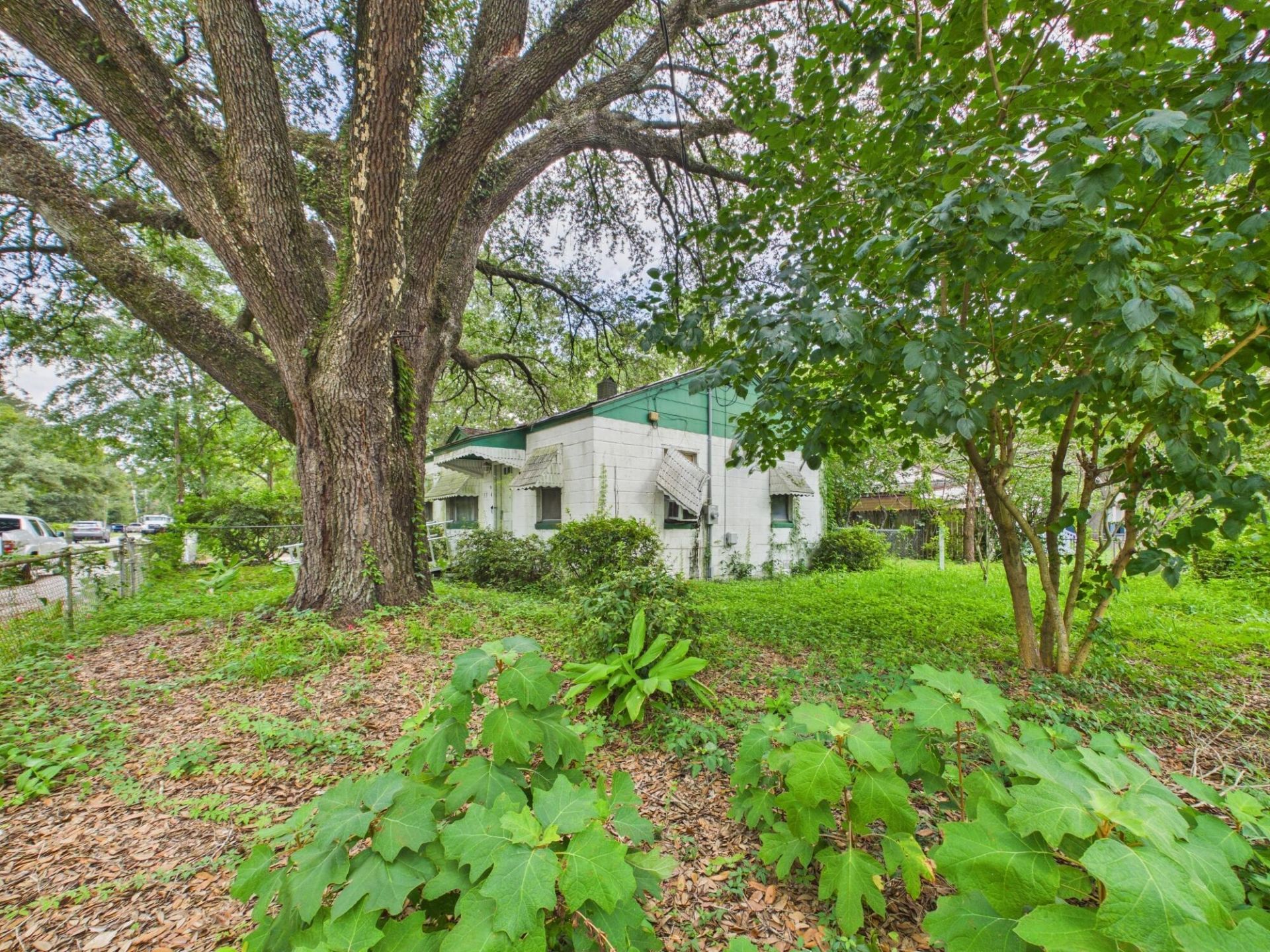 5504 Dobson Street Photo 8
