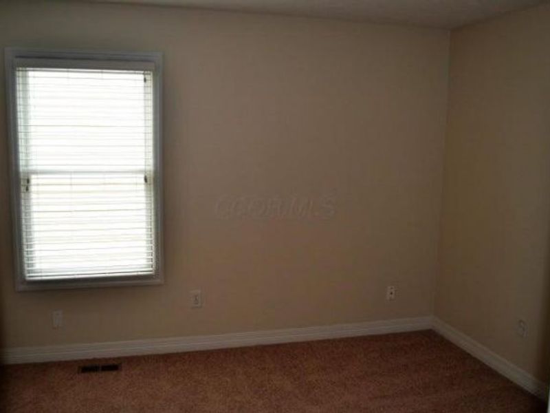 8840 Meadow Grass Lane, Lewis Center, OH 43035 Photo 20