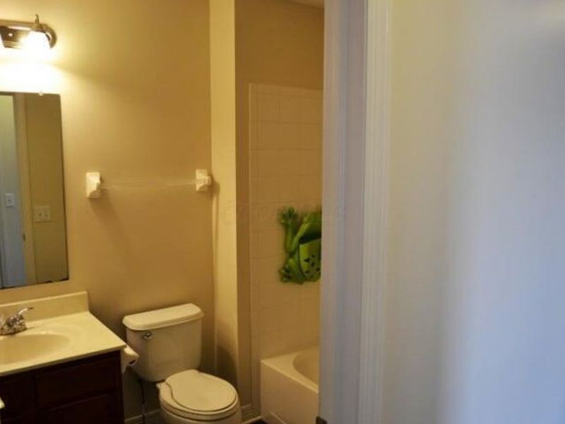 8840 Meadow Grass Lane, Lewis Center, OH 43035 Photo 31