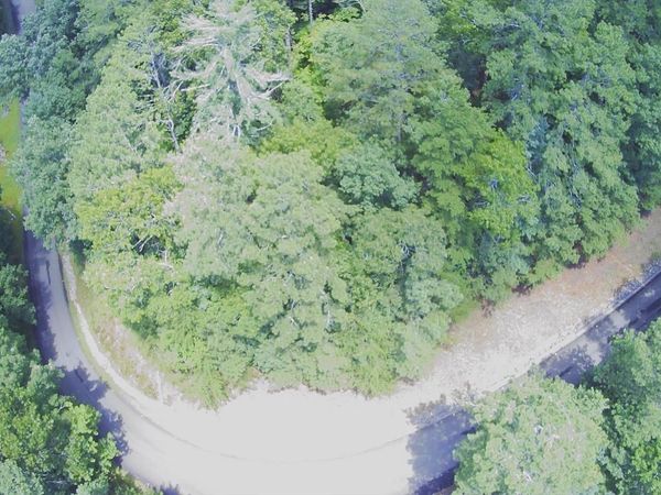 1368 Mtn Creek Hollow Drive, Talking Rock, GA 30175