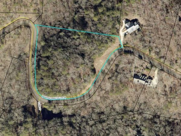 1368 Mtn Creek Hollow Drive, Talking Rock, GA 30175