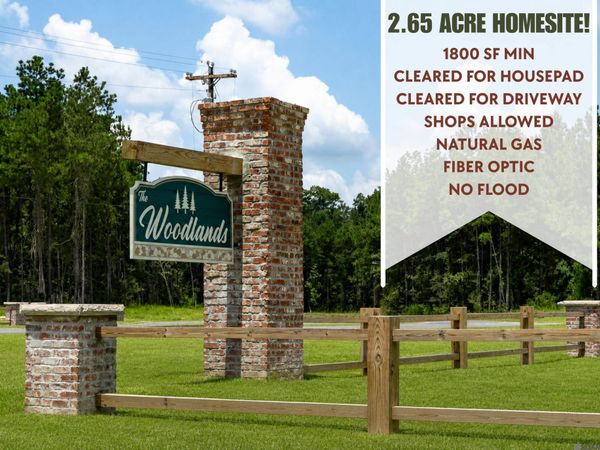 19009 Honey Grove, Livingston, LA 70754