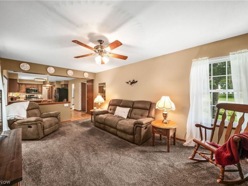 8226 Clover Lane, Garrettsville, OH 44231 Photo 28