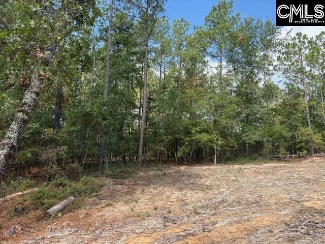 991 Ben Franklin Road Photo 19