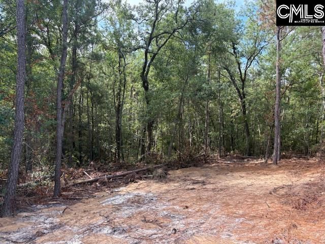 991 Ben Franklin Road Photo 20