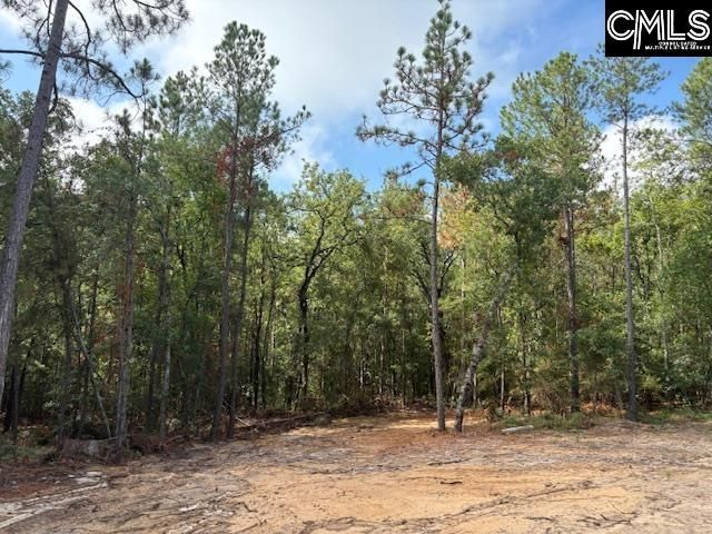 991 Ben Franklin Road Photo 21