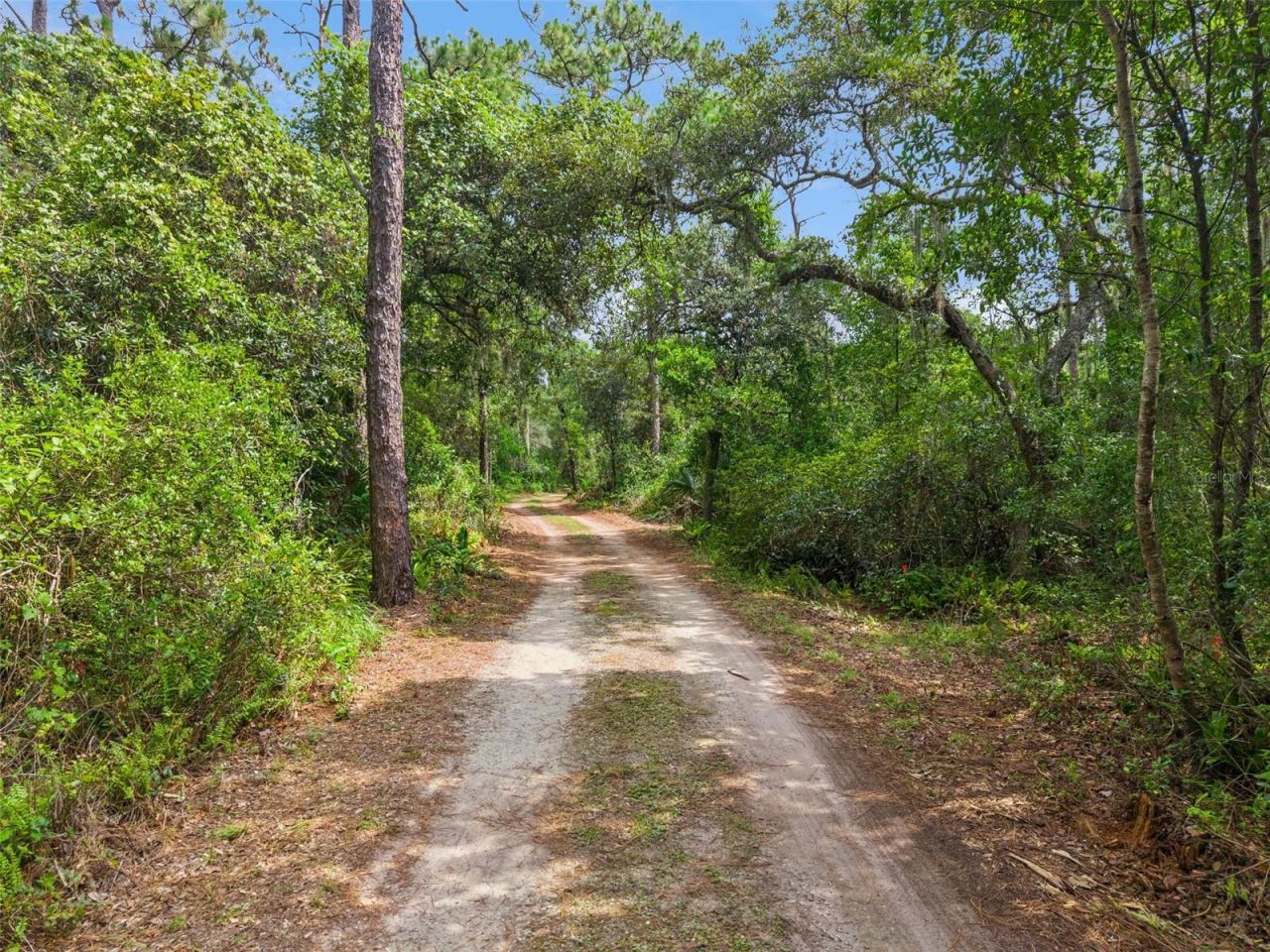 1675 Curryville Road, Chuluota, FL 32766 Photo